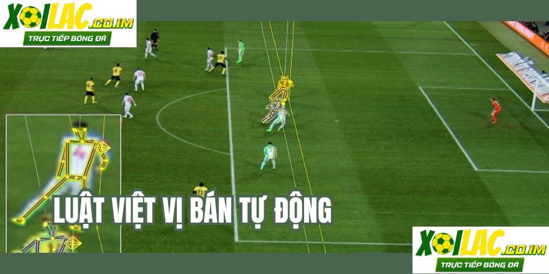 luat-viet-vi-ban-tu-dong