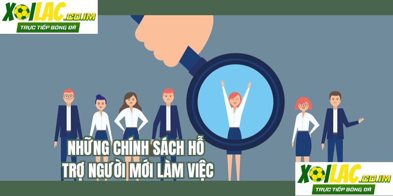 Những chính sách hỗ trợ người mới làm việc