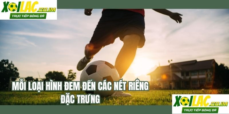 Mỗi loại hình đem đến các nét riêng đặc trưng